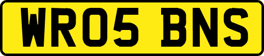 WR05BNS