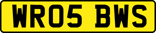 WR05BWS