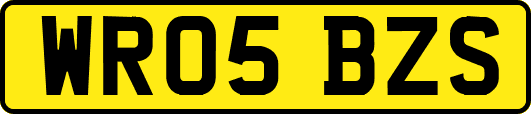 WR05BZS