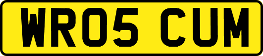WR05CUM