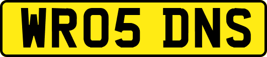 WR05DNS