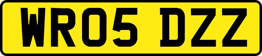 WR05DZZ