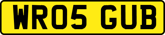 WR05GUB