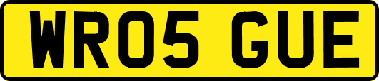 WR05GUE