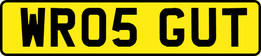WR05GUT