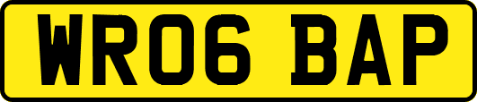 WR06BAP