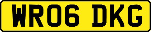 WR06DKG
