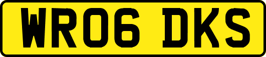 WR06DKS