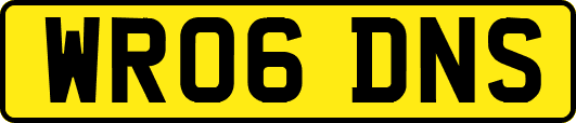 WR06DNS