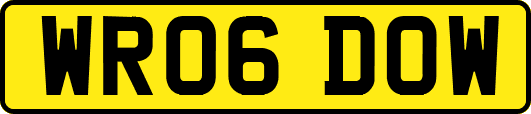 WR06DOW
