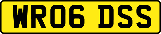 WR06DSS