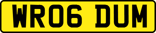 WR06DUM