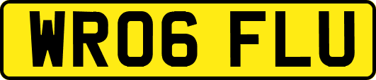 WR06FLU