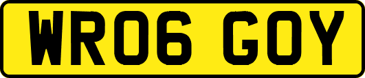 WR06GOY