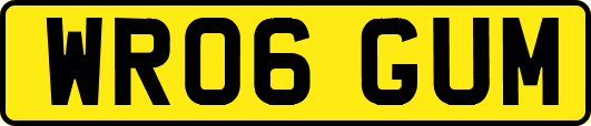 WR06GUM