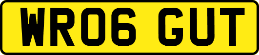 WR06GUT