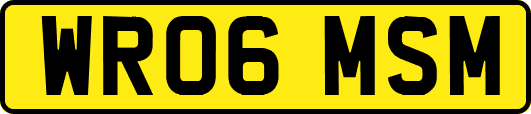 WR06MSM