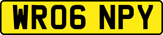 WR06NPY