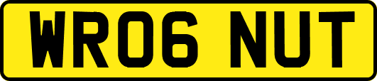 WR06NUT
