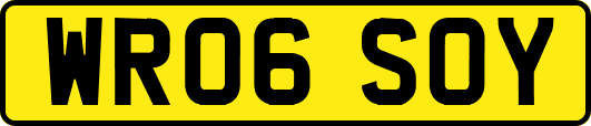 WR06SOY