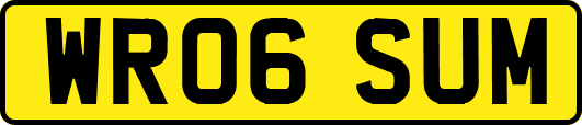 WR06SUM