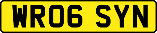 WR06SYN