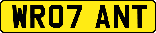 WR07ANT
