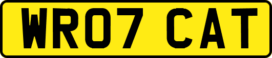 WR07CAT