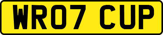 WR07CUP
