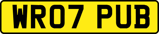 WR07PUB