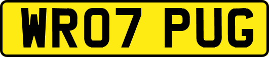 WR07PUG