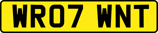 WR07WNT