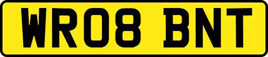 WR08BNT