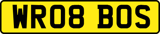 WR08BOS