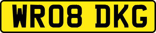 WR08DKG