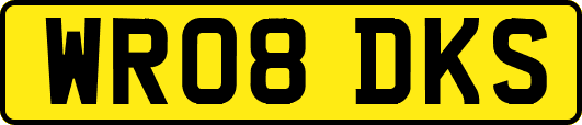 WR08DKS