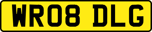 WR08DLG
