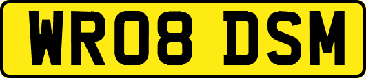 WR08DSM