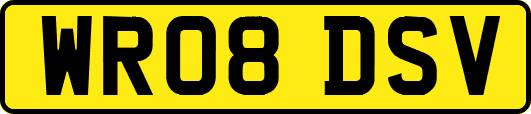 WR08DSV