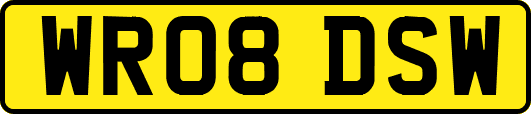 WR08DSW