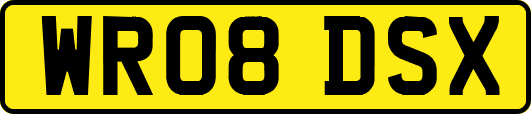 WR08DSX