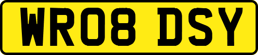 WR08DSY