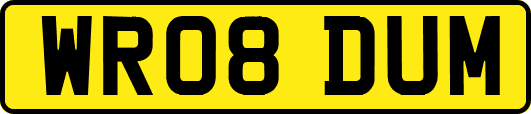 WR08DUM