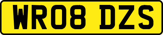 WR08DZS