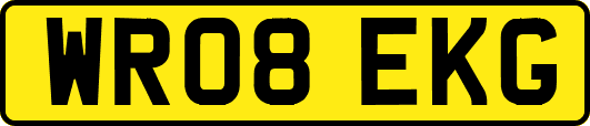 WR08EKG