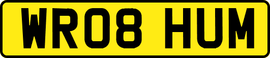 WR08HUM