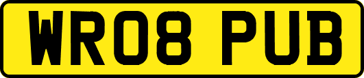 WR08PUB