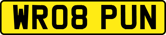 WR08PUN