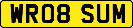WR08SUM