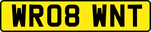 WR08WNT